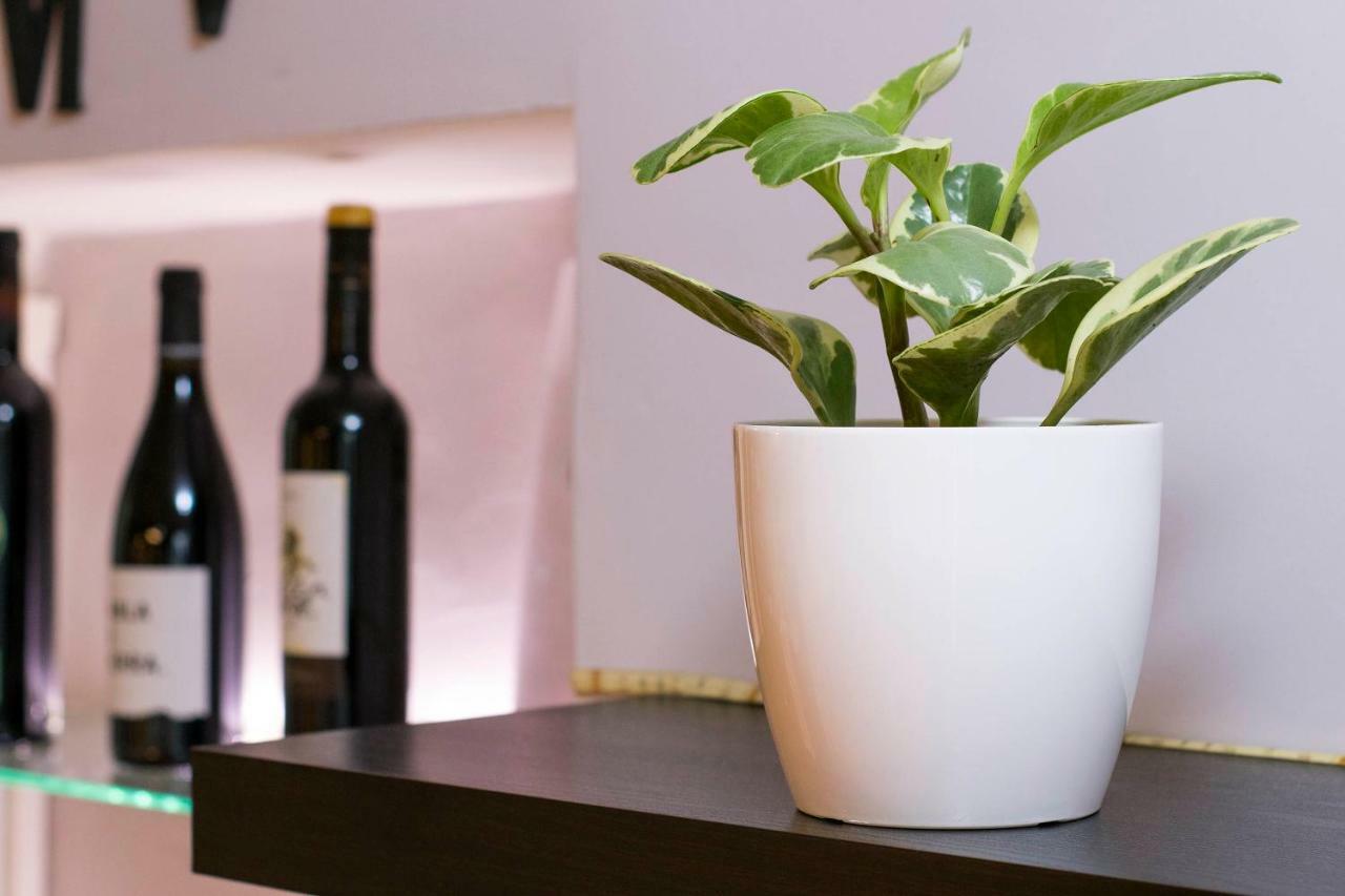 Apartamento Ciudad Monumental Caceres Ngoại thất bức ảnh